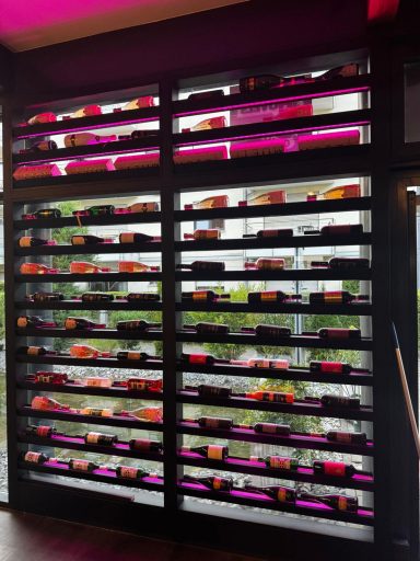 Regal mit Pflanzen in verschiedenen Farben, beleuchtet von pinken LED-Lichtern.